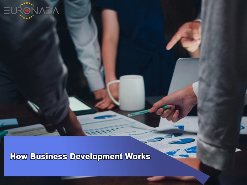 How Business Development Works