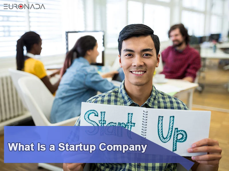 What Is a Startup Company