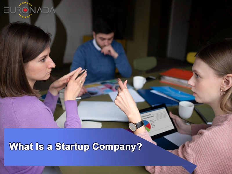 What Is a Startup Company?