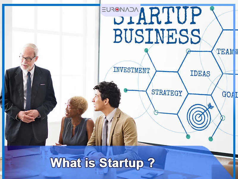 What is Startup