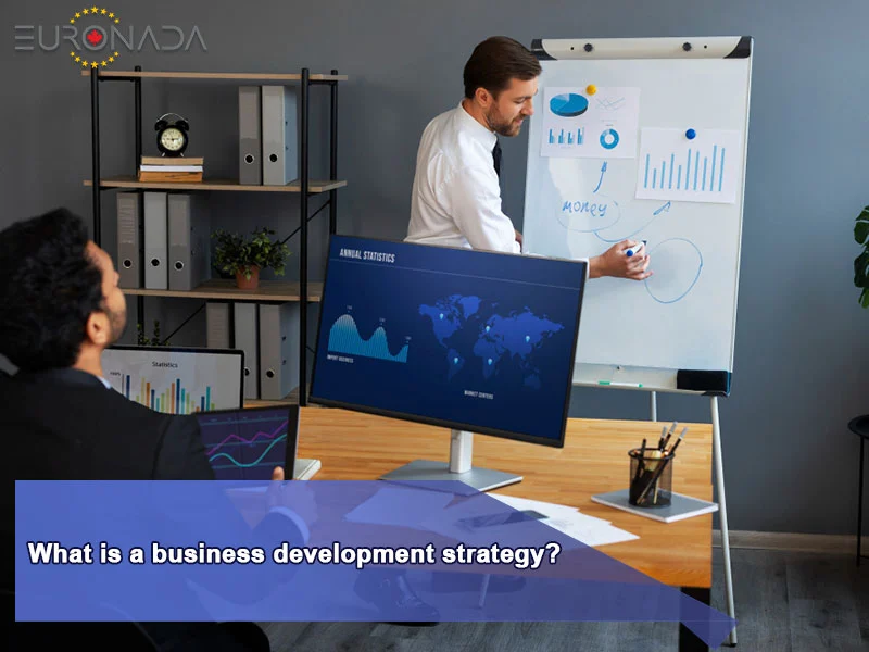 What is a business development strategy?