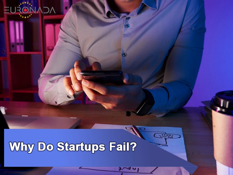 Why Do Startups Fail?
